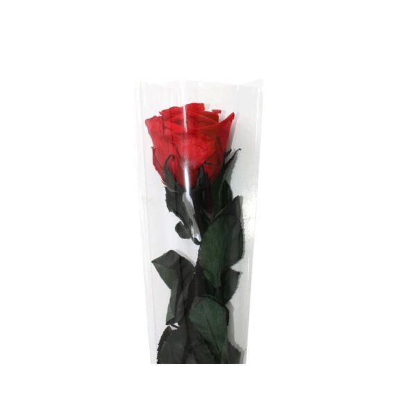 Rosa Preservada con tallo Standard (Verde Agua) - Imagen 2