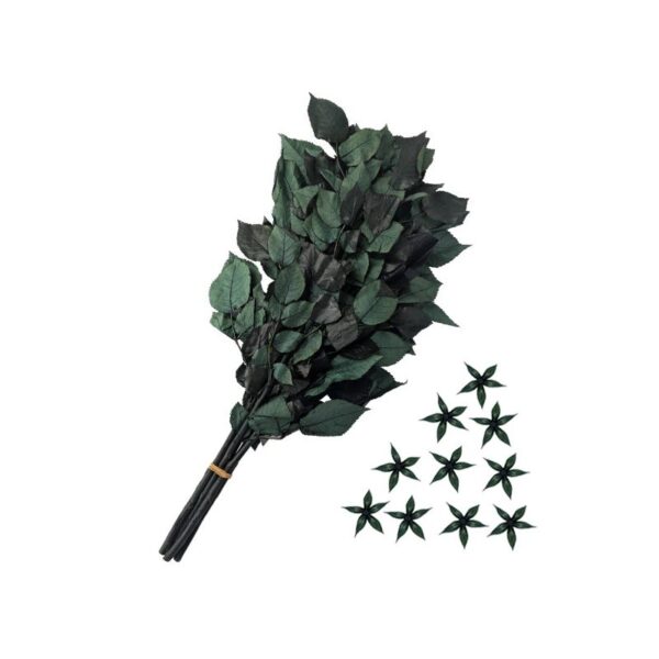 Tallos de Rosas Preservadas (50 cm) - Imagen 2