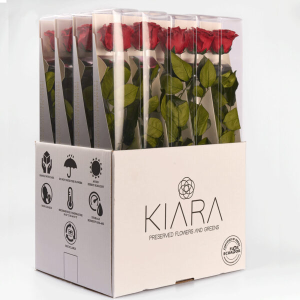 20х Rosa Preservada Roja Sangre con Tallo de 55cm Kiara