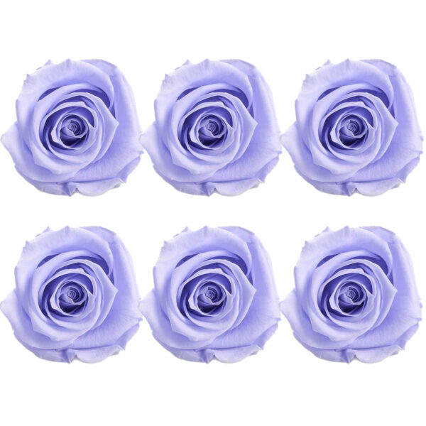 Rosa Preservada de Botón Kiara (Lavanda) - Imagen 3