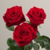 Ramo de Rosas Freedom