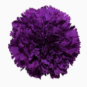 Clavel Select Morado